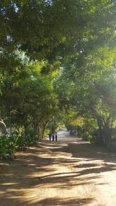 best places to meditate 5