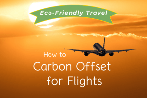 How to Carbon Offset For Flights