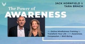 The Power of Awareness Jack Kornfield Tara Brach