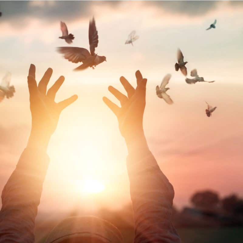 two hands reaching to the sky, releasing doves