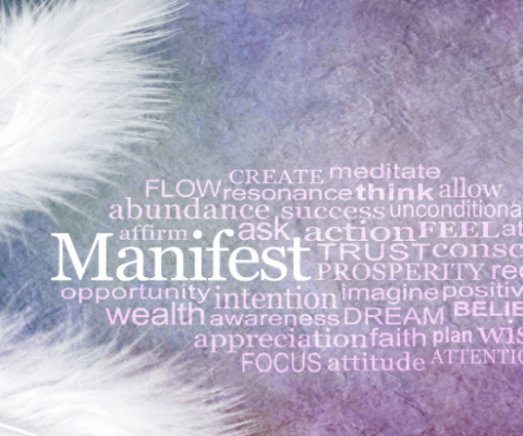 manifesting guide