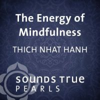 THE ENERGY OF MINDFULNESS